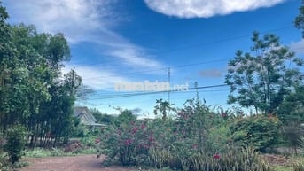 CHÍNH CHỦ BÁN 20.000 M2 ĐẤT XUYÊN MỘC – BR-VT (nay thuộc TP.HCM)