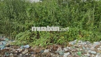 Đất rẻ trong khu vực ,SHR,Đ Trịnh Quang Nghị, xã Phong Phú, Bình Chánh