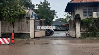 Cần cho thuê gấp kho diện tích lên đến 1200m2 ở Nguyễn Tất Thành