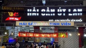 MT NGUYỄN VĂN KHỐI, 8×25, SÀN SUỐT