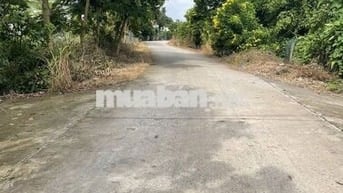 Đất mặt tiền 5m×28m – sổ riêng – dân đông – Củ Chi