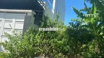 🔥BÁN LÔ ĐẤT PHAN HUỲNH ĐIỂU – GẦN NGUYỄN PHƯỚC LAN - SỔ VUÔNG VỨC