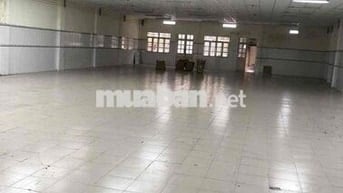 cho thuê mặt bằng xưởng sạch đẹp