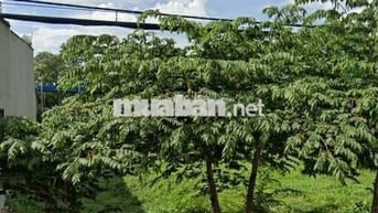 Bán đất cưới vợ SHR Liên Ấp 2-6 Vĩnh lộc a Bình Chánh 825tr 80m2