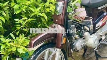 dream up supper máy 12l54 dọn kiểng