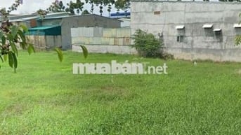 Đất đẹp giá hời 818tr SHR Mt đường Hàn Thuyên, Vĩnh Lộc B, Bình Chánh