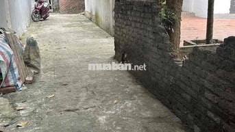 🚨 BÁN ĐẤT PHỐ YÊN – TIỀN PHONG, MÊ LINH 🚨  📐 Diện tích: 61m2 full thổ