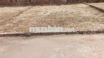 Bán Đất - Lập Trí (Minh Trí) - 81M2 Full Thổ Cư - 1,65 Tỷ