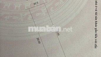 Bán đất 100m2 vuông vức mt Phạm Đình Bân, Hoà Quý, NHS
