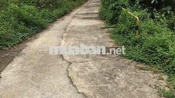 3 mảnh đất sổ đỏ Hoà Bắc, Hoà Vang, Đà Nẵng