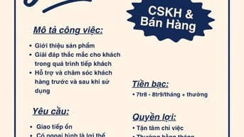 Việc làm CSKH cho sinh viên mới ra trường