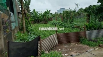 Đất 100m² thổ cư, Hẻm đối diện THPT Ngô Quyền, ô tô vào tận nơi