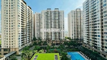 Căn hô thuê CH Akari (2PN+/56m2-7.5tr)(2PN+/62m2-8,5tr)(2PN/78m2-9.5tr