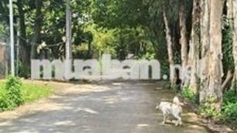 Mặt tựa sông lưng tựa núi  phong thủy tốt 👍