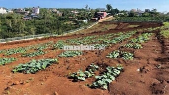Đất sổ hồng, thổ cư mặt tiền Tỉnh lộ 725 xã Tân Châu, Di Linh,Lâm Đồng