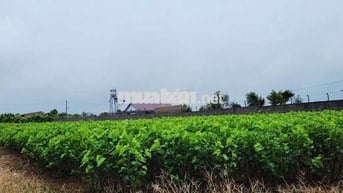 ĐẤT ĐẸP GIÁ SIÊU RẺ HẺM TẢN ĐÀ _ BẢO LỘC