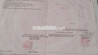 Đất thổ cư chính chủ - Cần Giờ