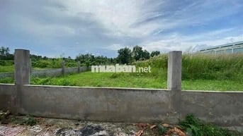 Cần bán gấp đất MTĐ Mậu Thân 2, P3,Vĩnh Long 120m2 SH riêng