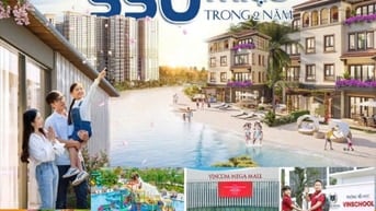 Chỉ Thanh Toán 550tr sở hữu nhà phố 1 trệt 3 lầu
