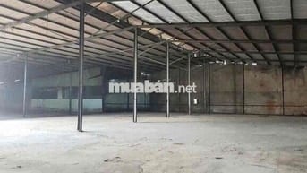 Cho thuê kho, xưởng 500m2 Xuân Thới Thượng Hóc Môn