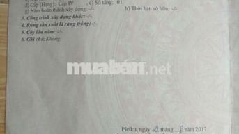 Cần Bán đất Vị Trí Đắc Địa 2 Mặt Tiền Phường Ia Kring, Pleiku, Gia Lai