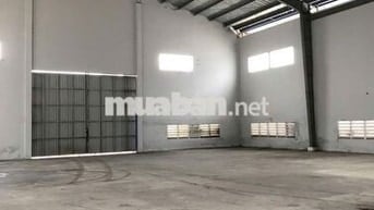 Cho thuê xưởng 3.000m2 Nguyễn Cửu Phú, Bình Tân, Giá thuê : 240tr/TH