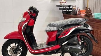 Scoopy (hàng bỏ mẫu)