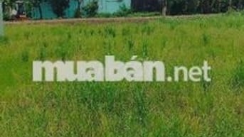 Bán Đất - Tân Trung, Gò Công, Tiền Giang, 450tr 130m2, 20m MTĐ QL50
