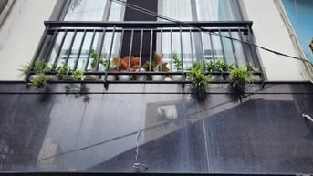 Bán gấp nhà 3 tỷ 150 đường Bùi Viện, Phạm Ngũ Lão, Q1. Diện tích 30m²