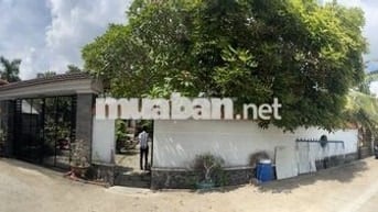 Bán đấu giá đất: 607m2,(300m2 thổ cư) hẻm đường Hùng Vương, NT, DN