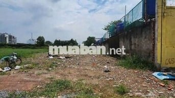 Bán đất thồ cư DT 1000m MT kinh đang làm nhựa 15m