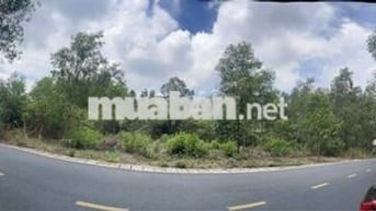 Bán đấu giá đất: 953m2. Mặt tiền đường Cây Dầu, xã Nhơn Trạch, ĐN