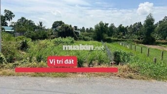 5×35=171mv THỔ ,MẶT TIỀN NHỰA ,NGÃ TƯ LẠC TẤN ,TÂN TRỤ