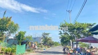 🔥 CHÍNH CHỦ BÁN GẤP ĐẤT PHẠM ĐÌNH BÂN – 99,5M², GIÁ CỰC TỐT