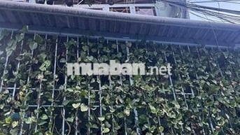 cho thuê nhà hẻm 4m đường tân sơn nhì quận tân phú