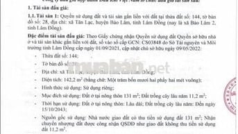 BĐS xã Bảo Lâm 2, tỉnh Lâm Đồng