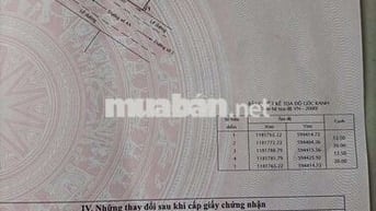 Bán nền biệt thự,kdc 47 mẫu, xã An Phú Tây. Giá bắt ngờ