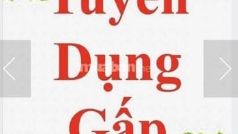 TUYỂN DỤNG GẤP 3 ỨNG VIÊN VĂN PHÒNG VÀ PHỤ TRÁCH KHO  