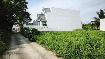 Đất đẹp gần biển tìm chủ đầu tư Xã Tân Điền , Gò Công Đông ,Tiền Giang