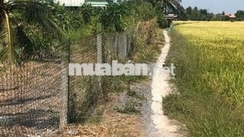 Bán đất thổ cư gần chợ Tân Trụ, Long An, TP.HCM, 168m2, giá 600tr