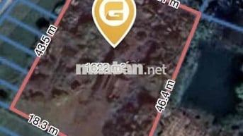 Đất sổ đỏ 1620m2 Ấp Bình Đông Xã Tân Trụ