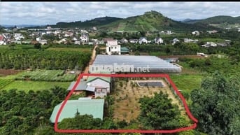 Combo nhà -vườn -ao -chuồng 1700m2 ven Đà Lạt chỉ 2 tỷ 500 triệu