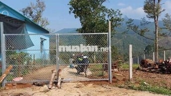 Vườn măng cụt chôm chôm 9000 m2 thị trấn Đạ MRi