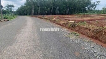 nhà vỡ nợ bán gấp miếng đất 200m2 có sẵn 100m2 thổ chỉ 295tr