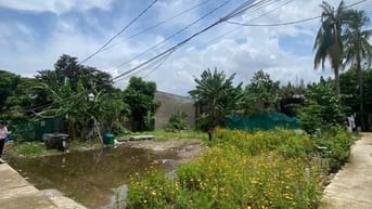 Bán đất Phường Trường Thạnh, Quận 9 - Thích hợp xây nhà ở, biệt thự vư