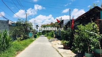 ĐƯA CON ĐI DU HỌC, ANH HÙNG BÁN MIẾNG ĐẤT 310M2 2 MẶT TIỀN ĐƯỜNG NHỰA