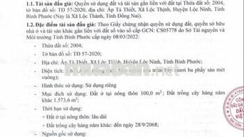 BĐS Ấp Tà Thiết, Lộc Thịnh, Lộc Ninh, Bình Phước (Lộc Thành, Đồng Nai)
