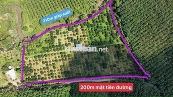 Cần bán đất cho người thiện chí  2mẫu3. (200m ngang)