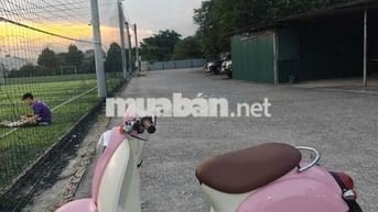 Cần bán xe Honda scoopy 50cc