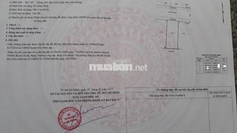 CẦN BÁN ĐẤT Đ.Nguyễn Văn Bứa xã Xuân Thới Sơn DT 81m2 giá 1,5 tỷ, SHR